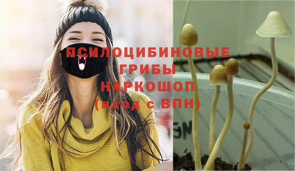 гашик Балабаново