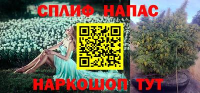МДПВ Владикавказ