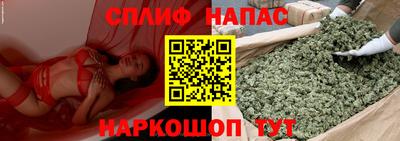 МДПВ Владикавказ