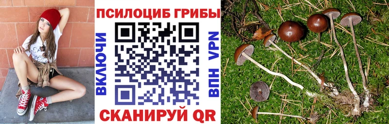 Псилоцибиновые грибы Magic Shrooms  купить  сайты  Баксан 