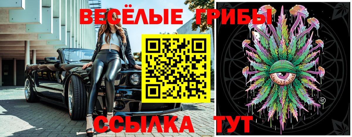 закладка  Вход с VPN  Баксан  Галлюциногенные грибы Psilocybine cubensis 