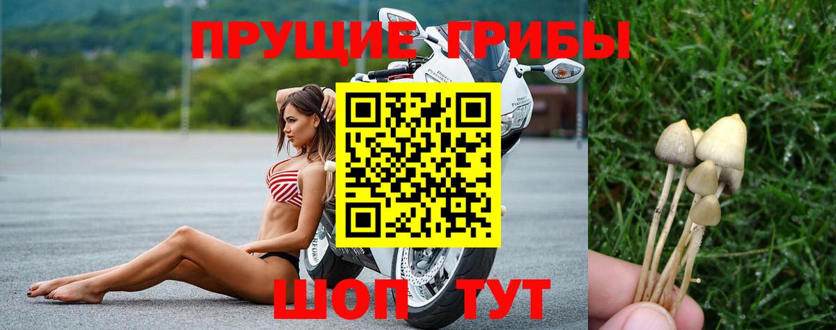 Галлюциногенные грибы мухоморы Баксан